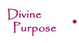 Divine Purpose Destiny